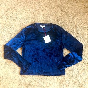 Womens NWT Rolla Coaster velvet blue top. Size L. New condition!